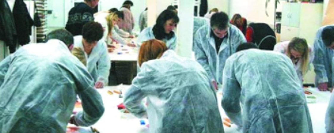 Seminare und Aktivitäten für Privatpersonen und Unternehmen